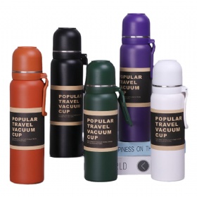 Customized 850ml Large Capacity 304 Spray Thermos Cup Creative Sports Outdoor Stainless Steel Insulated Water Bottle with Handle